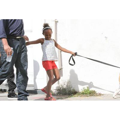 Huch! Was für ein hässlicher Hund!