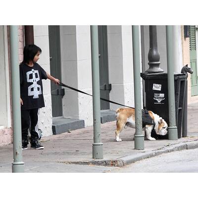 Huch! Was für ein hässlicher Hund!