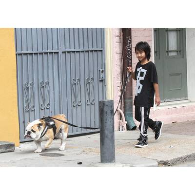 Huch! Was für ein hässlicher Hund!