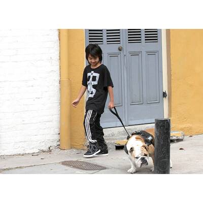 Huch! Was für ein hässlicher Hund!