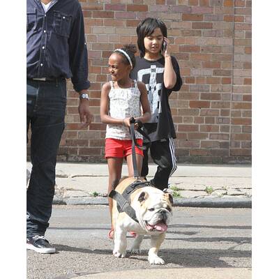 Huch! Was für ein hässlicher Hund!