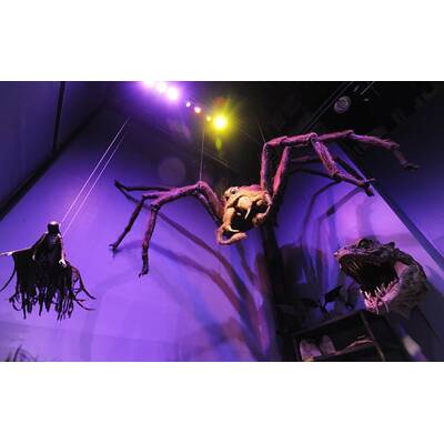 Harry Potter Studios London