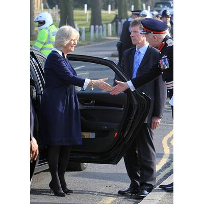 Charles & Kate: Bügeln für den guten Zweck