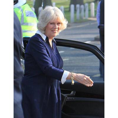 Charles & Kate: Bügeln für den guten Zweck