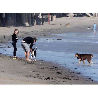 Harnett & Seyfried: Das neue Traumpaar