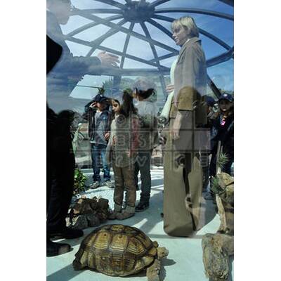 Prinzessin trotzt Wind und Wetter