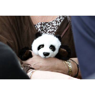 Ein Herz für Tiere...