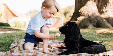 Prinz George: Süße Bilder zum 3. Geburtstag