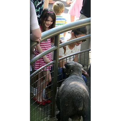 Katie Holmes & Suri: Auflug in den Tiergarten