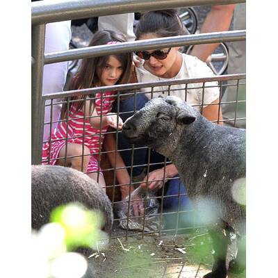Katie Holmes & Suri: Auflug in den Tiergarten