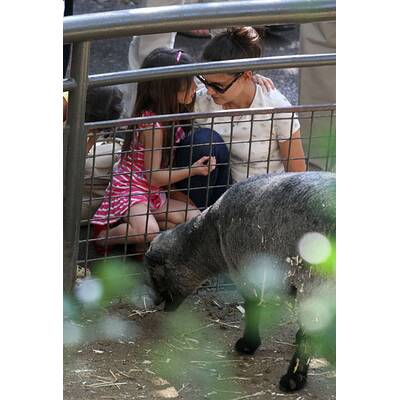 Katie Holmes & Suri: Auflug in den Tiergarten