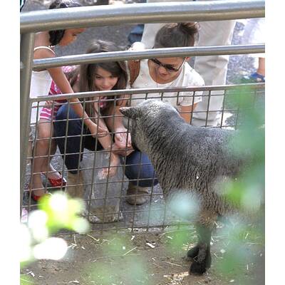 Katie Holmes & Suri: Auflug in den Tiergarten