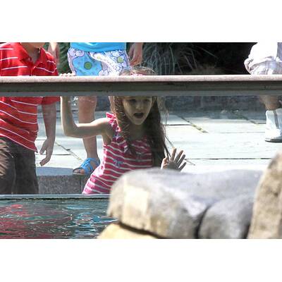 Katie Holmes & Suri: Auflug in den Tiergarten