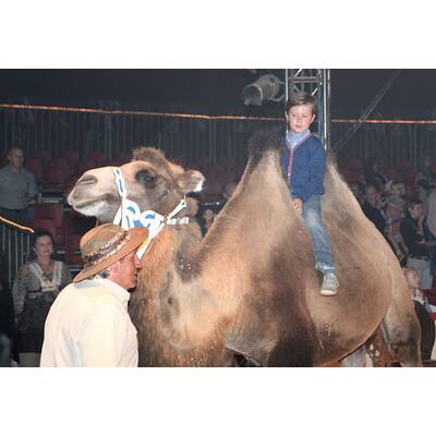 Mary von Dänemark: Lustiger Zirkusbesuch