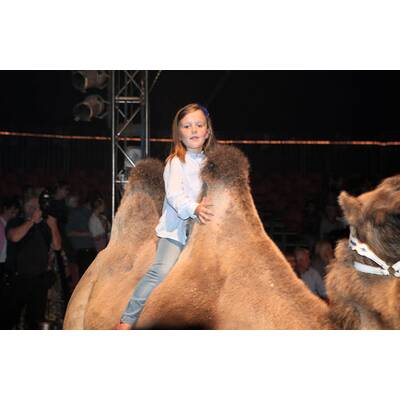 Mary von Dänemark: Lustiger Zirkusbesuch