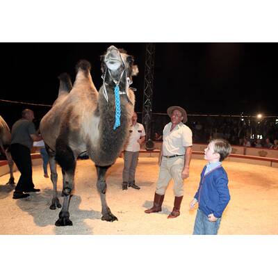 Mary von Dänemark: Lustiger Zirkusbesuch