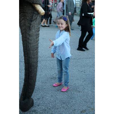 Mary von Dänemark: Lustiger Zirkusbesuch