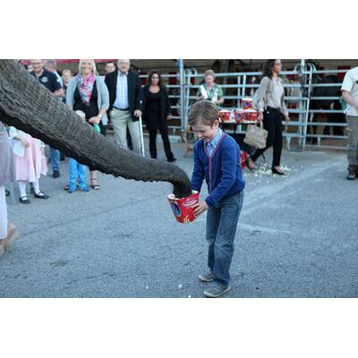 Mary von Dänemark: Lustiger Zirkusbesuch