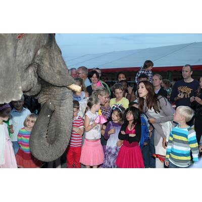 Mary von Dänemark: Lustiger Zirkusbesuch