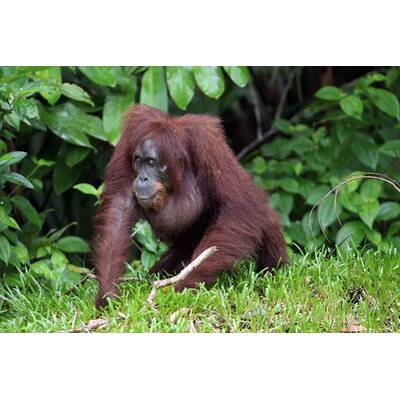 William & Kate: Lächeln trotz Nackt-Skandal