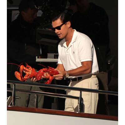 Leonardo DiCaprio: Hat er etwa zu viel Geld?