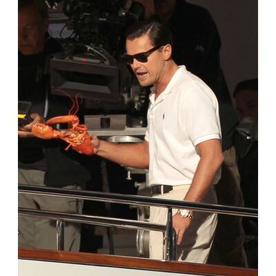 Leonardo DiCaprio: Hat er etwa zu viel Geld?