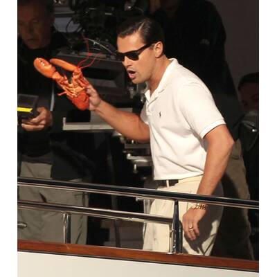 Leonardo DiCaprio: Hat er etwa zu viel Geld?