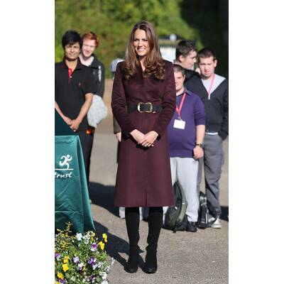 Stars in Winterstimmung