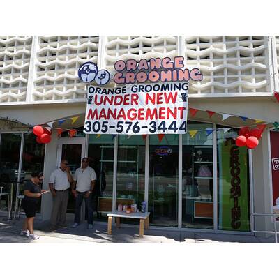 Kim Kardashian benutzt Kätzchen als Accessoire