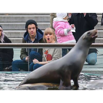 Taylor Swift: Spaziergang mit Harry Styles