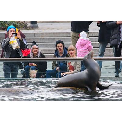 Taylor Swift: Spaziergang mit Harry Styles