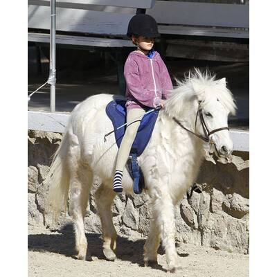 Denise Richards: Ausflug zum Pferdehof