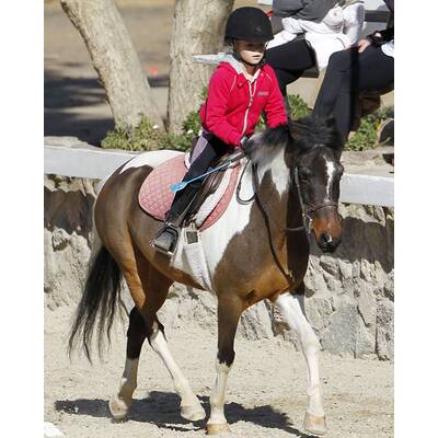 Denise Richards: Ausflug zum Pferdehof