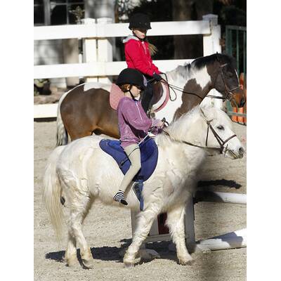 Denise Richards: Ausflug zum Pferdehof