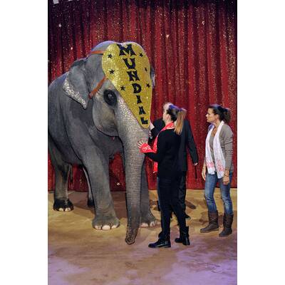Stephanie von Monca: Zirkus-Besuch mit Tochter
