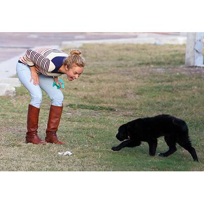 Hayden Panettiere & Wladimir Klitschko: Wieder verliebt!