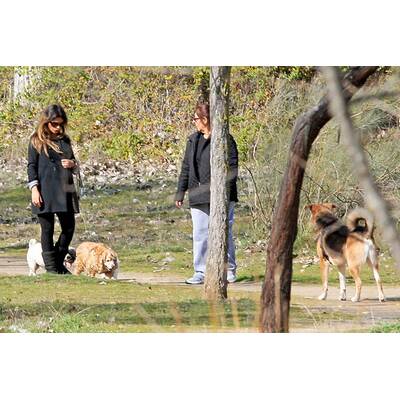 Monica Cruz zeigt Baby-Bauch