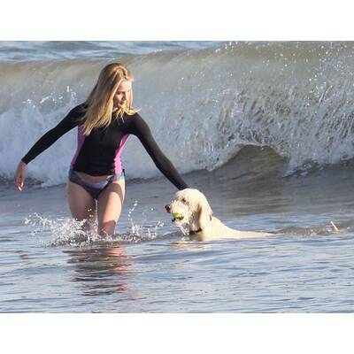 Rosie Huntington-Whitleley plantscht mit Hund im Meer