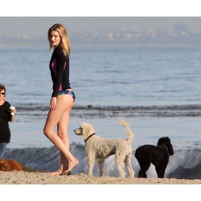 Rosie Huntington-Whitleley plantscht mit Hund im Meer