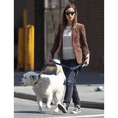 Stars: casual & chic