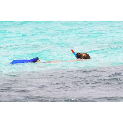 Wassernixe Kate Walsh 