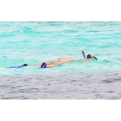 Wassernixe Kate Walsh 