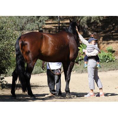 Jennifer Garner geht auf Tuchfühlung