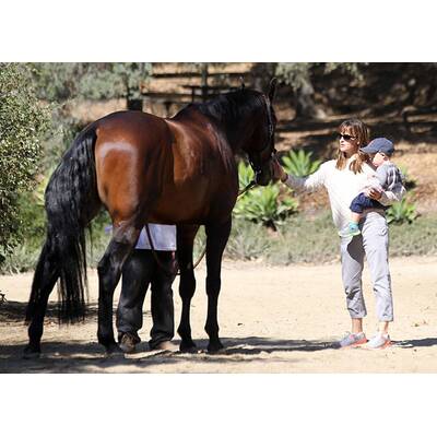 Jennifer Garner geht auf Tuchfühlung