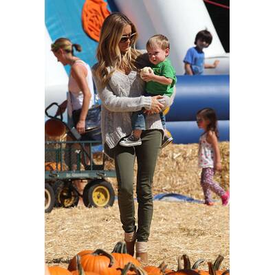 Stars im Kürbisfeld