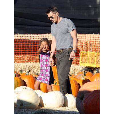 Stars im Kürbisfeld