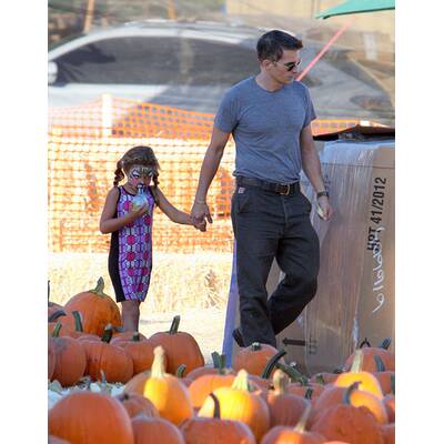 Stars im Kürbisfeld