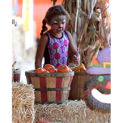 Stars im Kürbisfeld