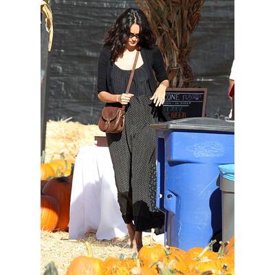 Stars im Kürbisfeld