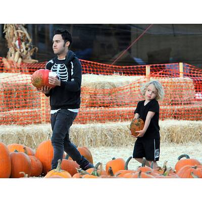 Stars im Kürbisfeld